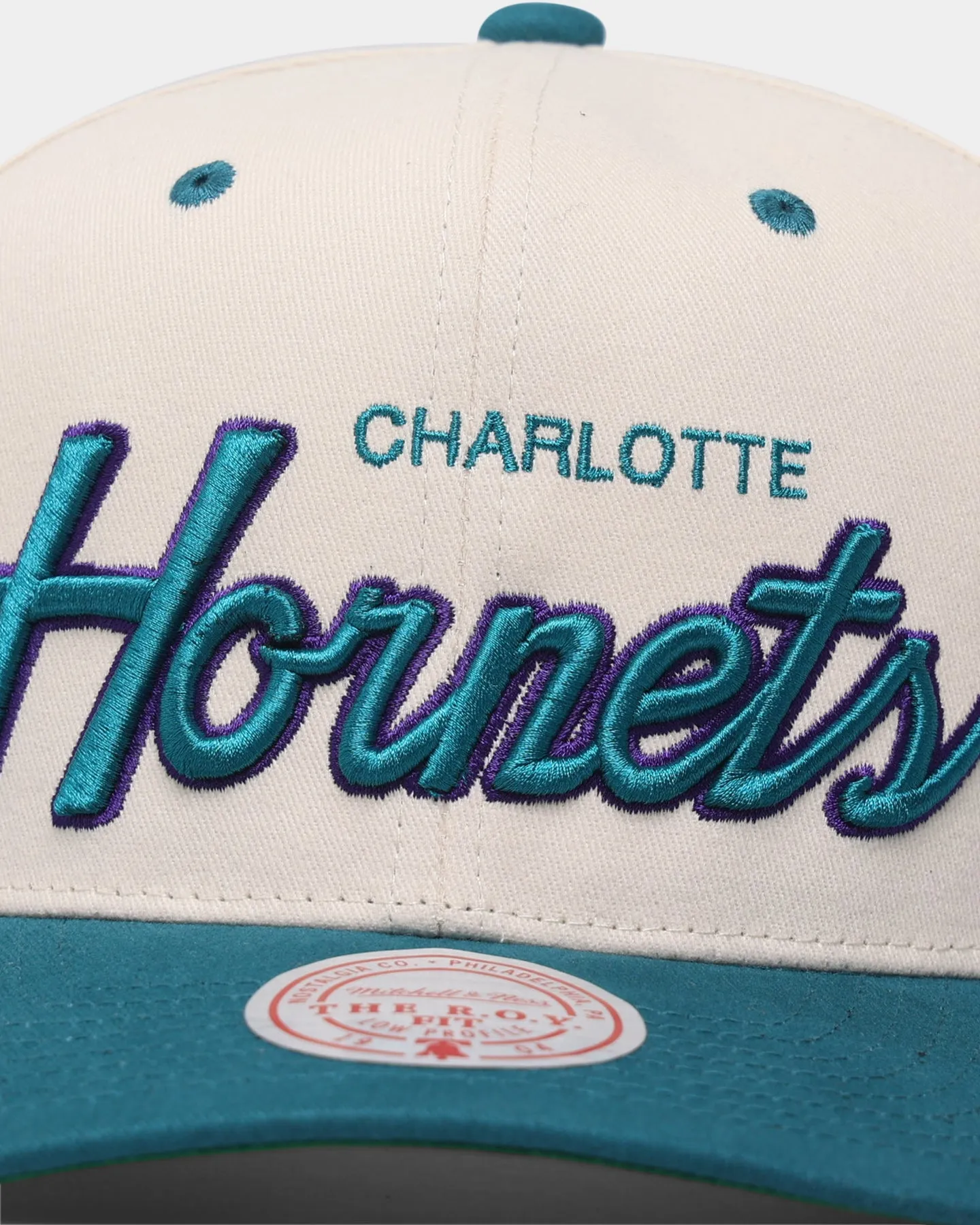 Mitchell & Ness Charlotte Hornets "Cream Team Script" Pro Crown Snapback Cream