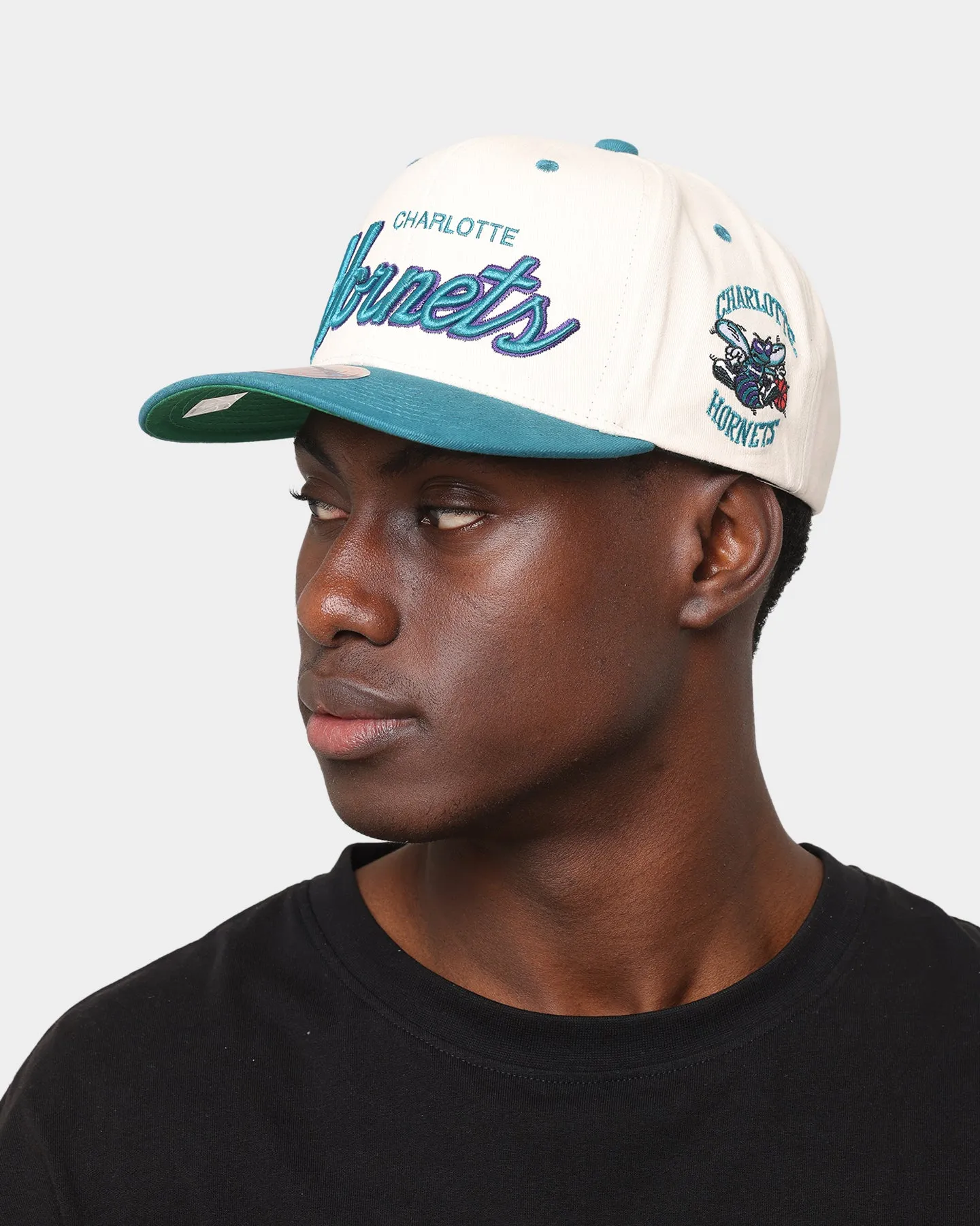 Mitchell & Ness Charlotte Hornets "Cream Team Script" Pro Crown Snapback Cream